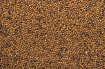 mustard seeds