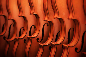 Violins in a Row