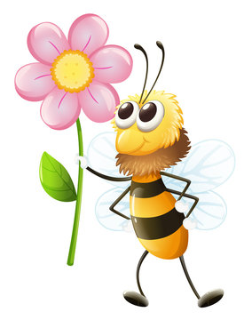 A bee holding a flower