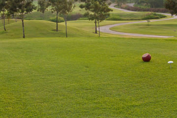 Fototapeta premium Golf
