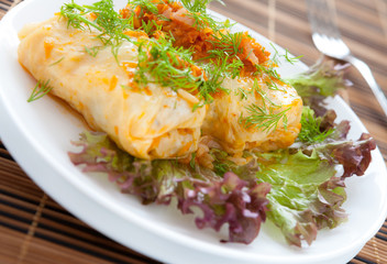 cabbage roll vegetarian food