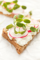 sandwiches with radish and sunflower sprouts
