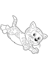 Acrylic prints DIY The coloring plate - illustration for the children