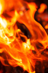 Fototapeta premium Fire in fireplace