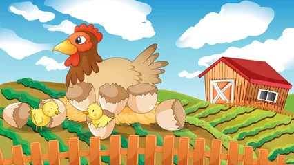 Abwaschbare Fototapete Bauernhof Eine Henne und Küken