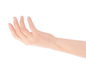 Obraz premium Empty open woman hand