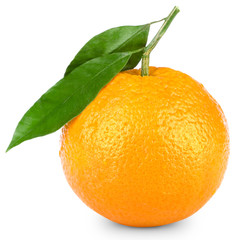 Ripe orange isolated on white background