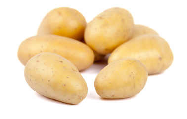 Kartoffel Freisteller VIII