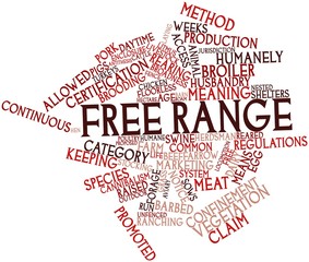 Fototapeta premium Word cloud for Free range