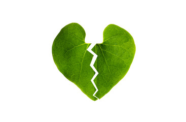 Obraz premium Broken heart leaf