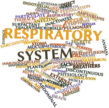 Word cloud for Respiratory system