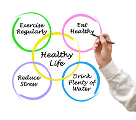 Diagram of healthy life
