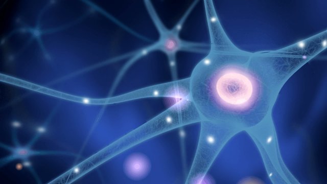 C&eacute;lulas nerviosas