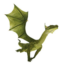 Fototapeta premium green dragon out