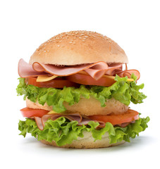 Junk food hamburger