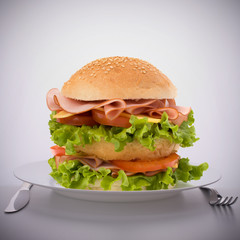 Fast food big sandwich  on plate