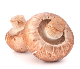 Brown champignon mushroom