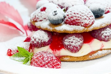Delicious biscuit and berry dessert