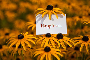 Happiness