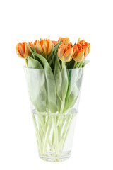 Tulips Bouquet