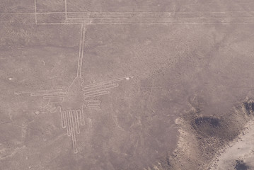 Colibrí, Líneas de Nazca (Perú)