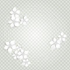 Floral background with white flowers- Sfondo con fiori bianchi