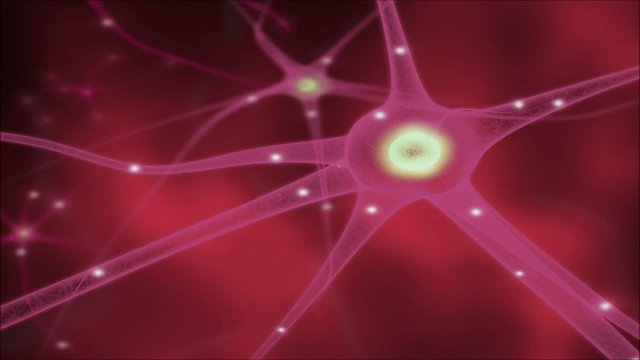 C&eacute;lulas Nerviosas