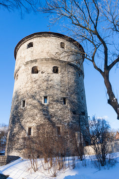 Winter view of fortress towers Tallinn. Estonia