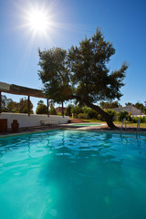 swimming pool terrace