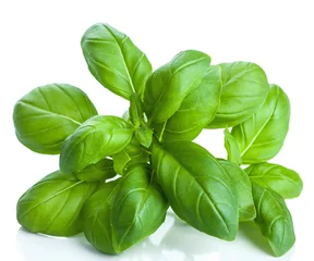 Cercles muraux Herbes basil leaves isolated