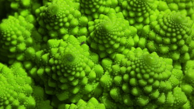 Romanesco broccoli cabbage marco.