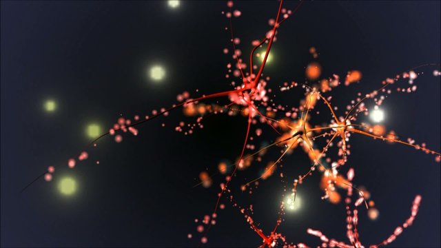 C&eacute;lulas Nerviosas