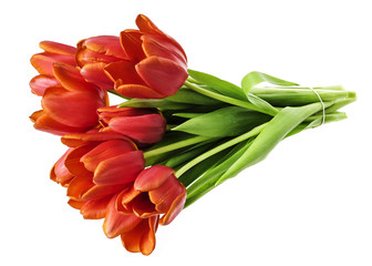 bunch of red tulips