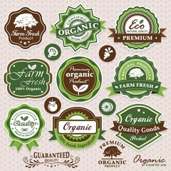 Collection of eco and bio labels, badges and icons