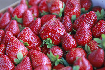 beautiful strawberries