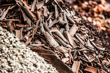 Variety of spices in local market in India