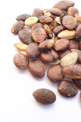 roasted seeds of krabok