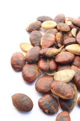 roasted seeds of krabok