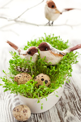 birds and eggs on the  cress