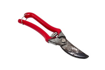 vineyard shears