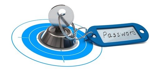 password access, internet security, secured web
