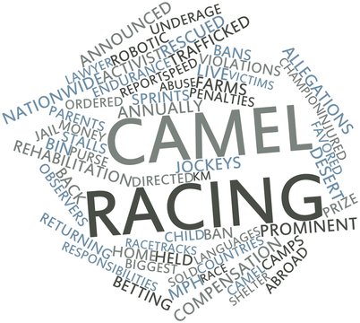 Word cloud for Camel racing