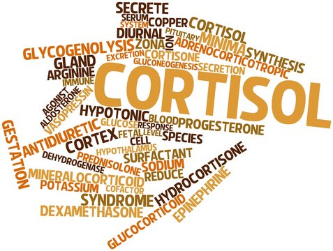 Word cloud for Cortisol
