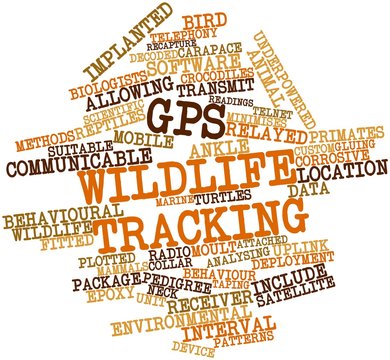 Word cloud for GPS wildlife tracking