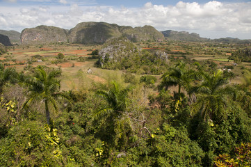 Fototapeta na wymiar Dolina Vinales, Kuba