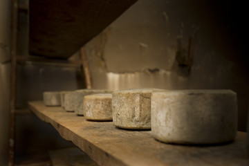 Old cheeses.Cured sheep cheese from Spain