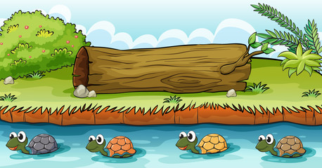 Fototapeta premium Turtles in the river