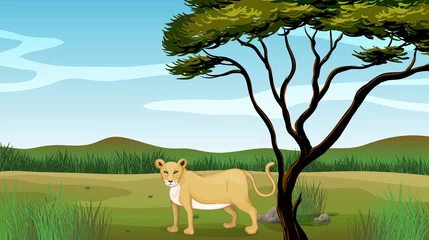 Photo sur Plexiglas Zoo Illustration de lion