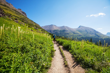 Fototapeta premium Hike in Glacier