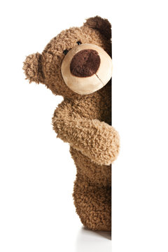 Naklejki teddy bear behind a white board